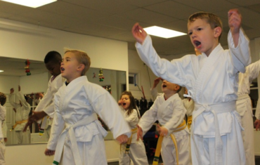 Junior and Adult Karate