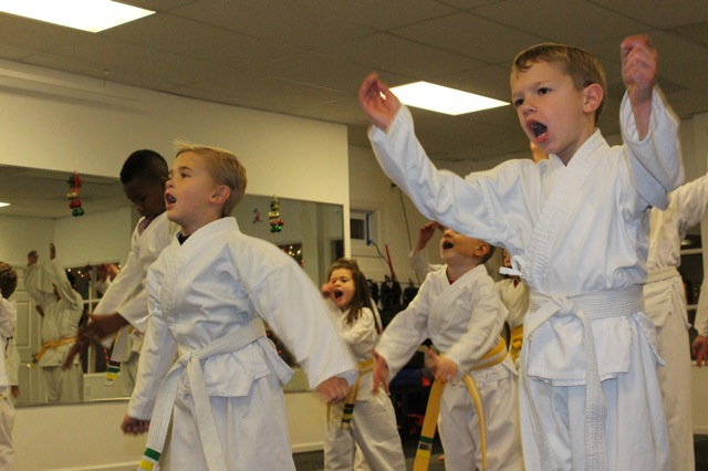 Junior and Adult Karate